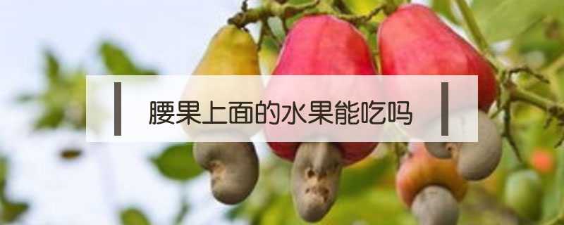 腰果上面的水果能吃嗎