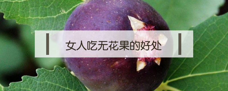 女人吃無花果的好處