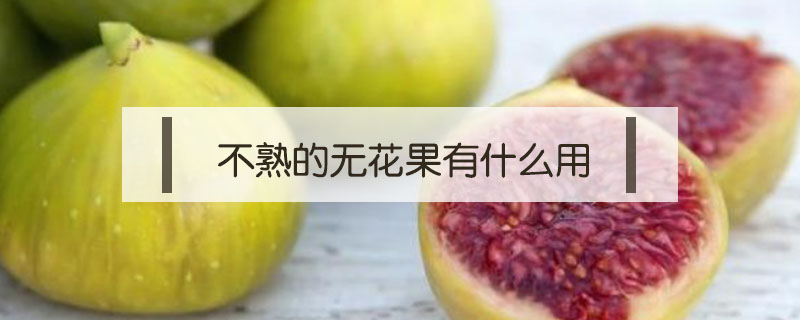 不熟的無花果有什么用