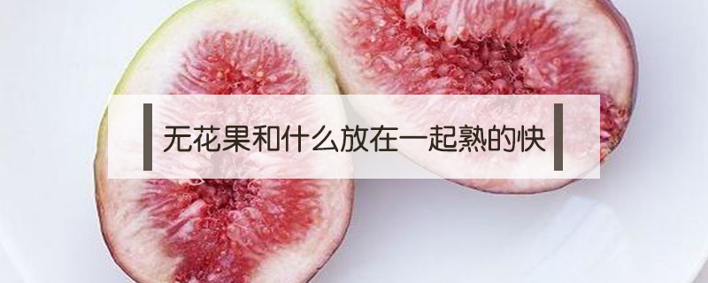 無花果和什么放在一起熟的快