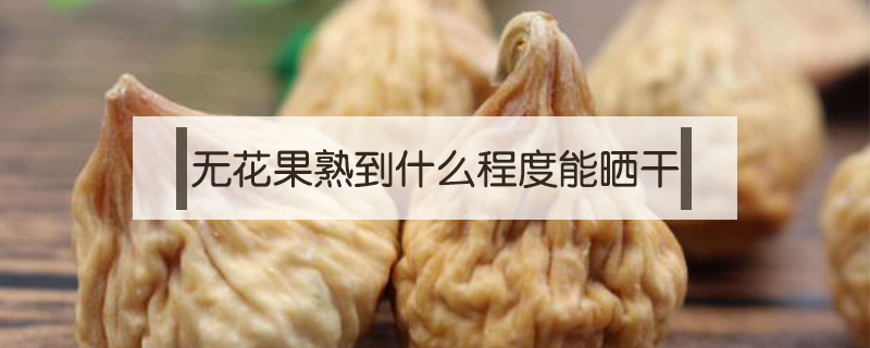 無花果熟到什么程度能曬干