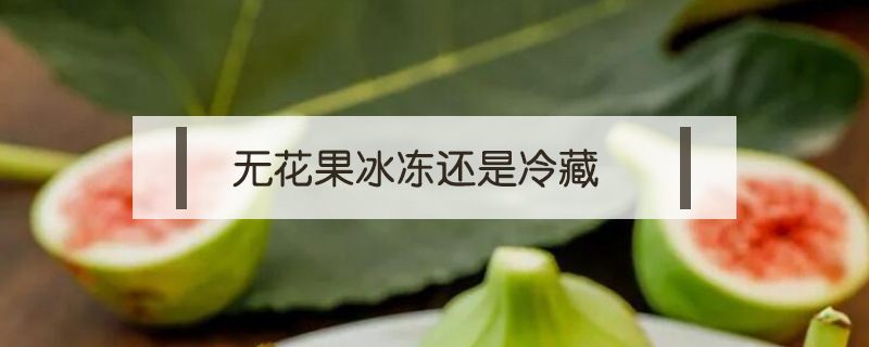 無花果冰凍還是冷藏