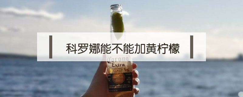 科羅娜能不能加黃檸檬
