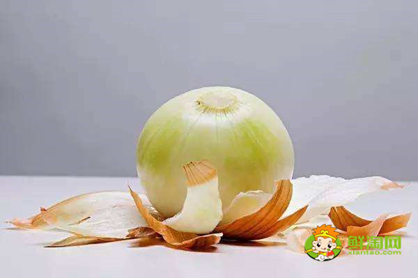 什么人不宜吃洋蔥,小洋蔥能生吃嗎