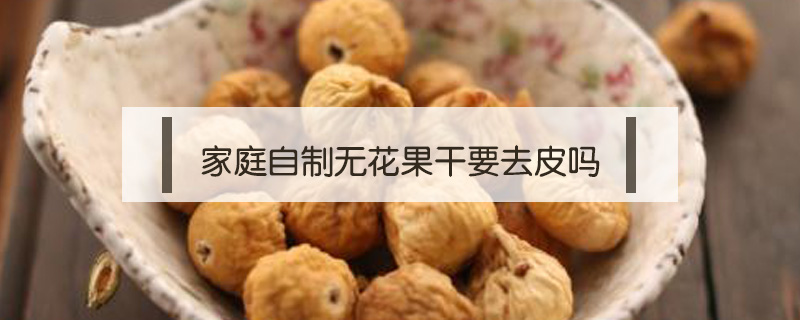 家庭自制無花果干要去皮嗎