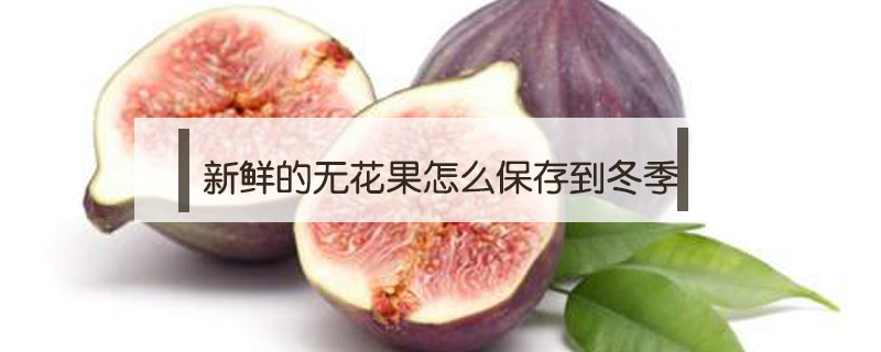 新鮮的無(wú)花果怎么保存到冬季