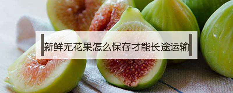 新鮮無花果怎么保存才能長途運輸
