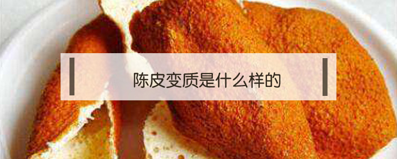 陳皮變質(zhì)是什么樣的