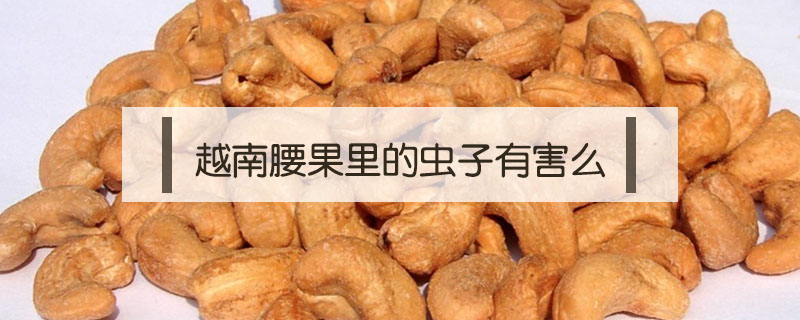 越南腰果里的蟲子有害么