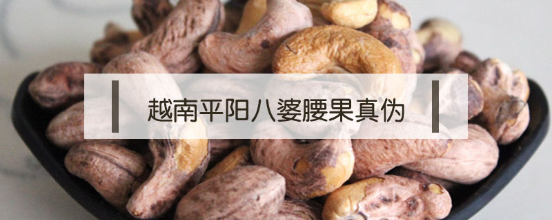 越南平陽八婆腰果真偽