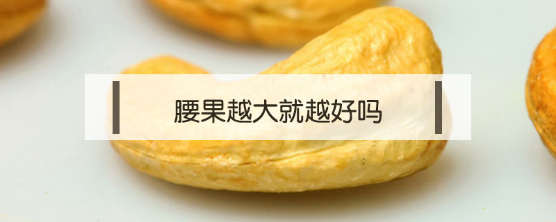腰果越大就越好嗎
