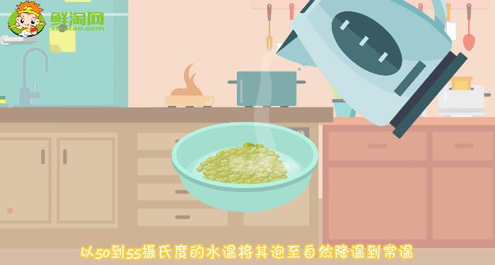 綠豆芽怎么發又粗又快