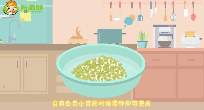 綠豆芽怎么發又粗又快