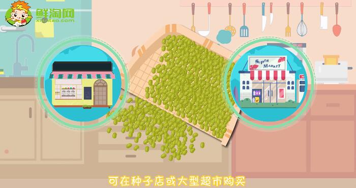 綠豆芽怎么發又粗又快
