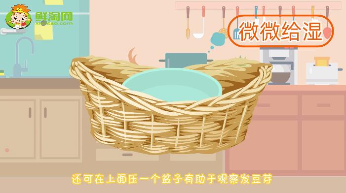 綠豆芽怎么發又粗又快