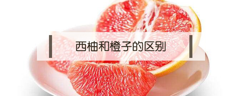 西柚跟紅心橙子的區(qū)別