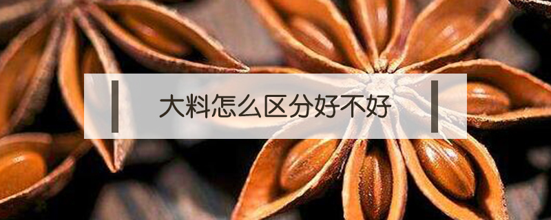 大料怎么區分好不好