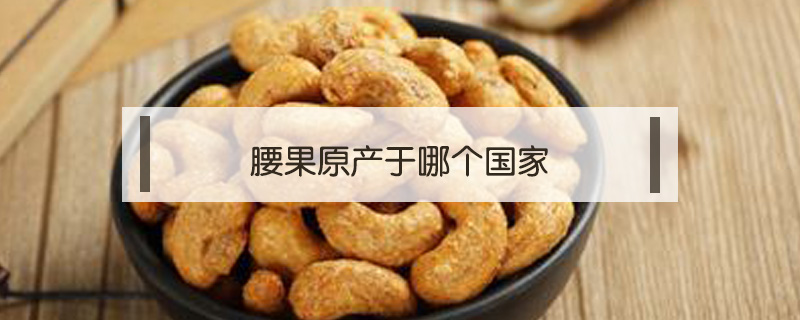 腰果原產于哪個國家