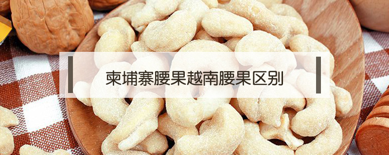 柬埔寨腰果越南腰果區別