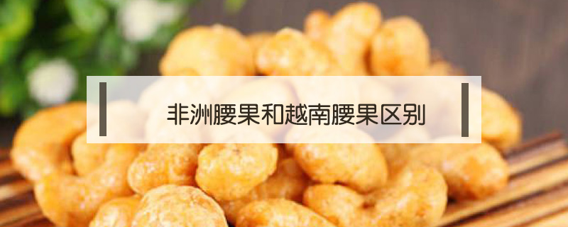 非洲腰果和越南腰果區別
