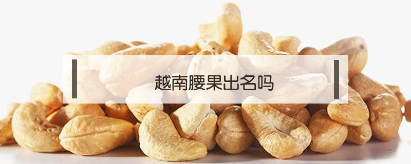 越南腰果出名嗎