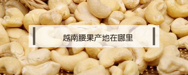越南腰果產地在哪里