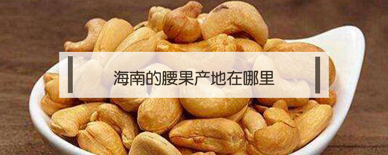 海南的腰果產地在哪里