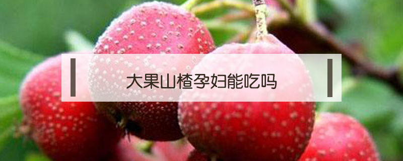 大果山楂孕婦能吃嗎
