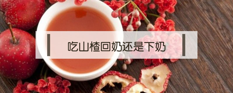 吃山楂回奶還是下奶