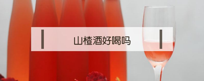 山楂酒好喝嗎
