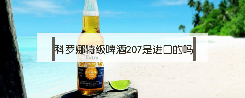 科羅娜特級啤酒207是進口的嗎