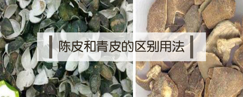 陳皮和青皮的區別用法