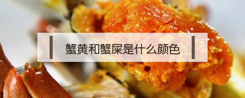 蟹黃和蟹屎是什么顏色