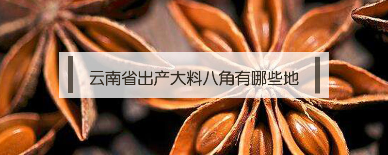 云南省出產大料八角有哪些地方