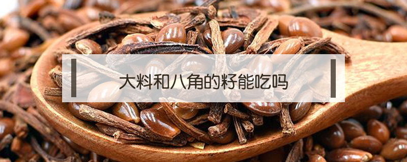 大料和八角的籽能吃嗎