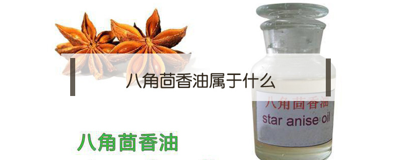 八角茴香油屬于什么