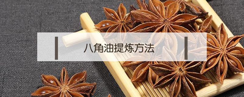 八角油提煉方法