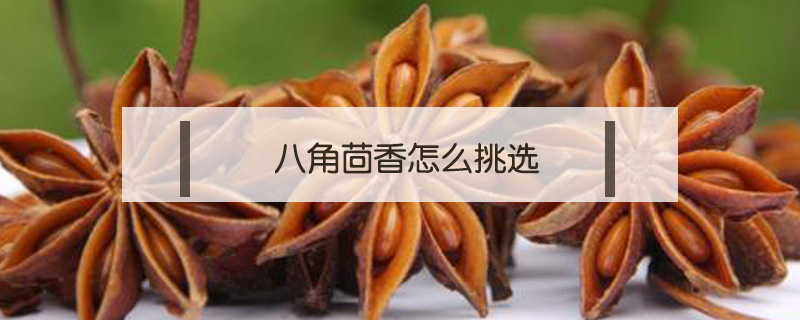 八角茴香怎么挑選