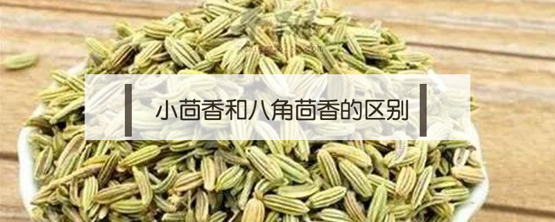 小茴香和八角茴香的區(qū)別