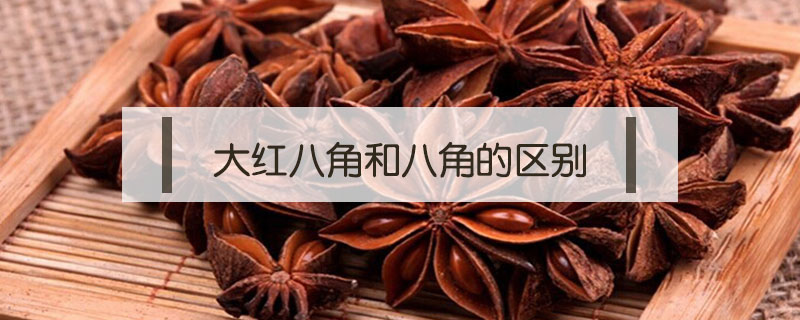 大紅八角和八角的區(qū)別