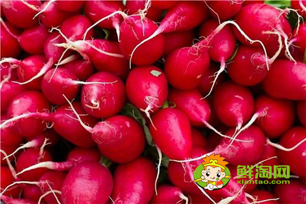 炒紅蘿卜要放什么調料，紅蘿卜做餡兒和什么是絕配
