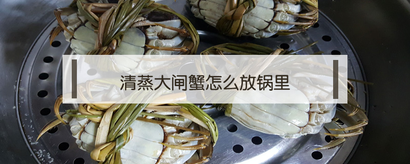 清蒸大閘蟹怎么放鍋里