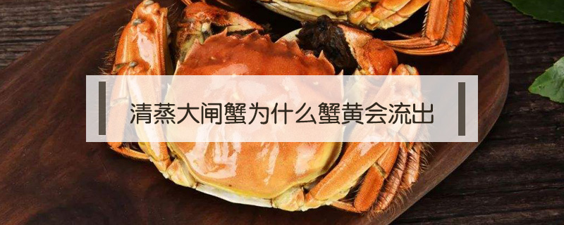 清蒸大閘蟹為什么蟹黃會流出