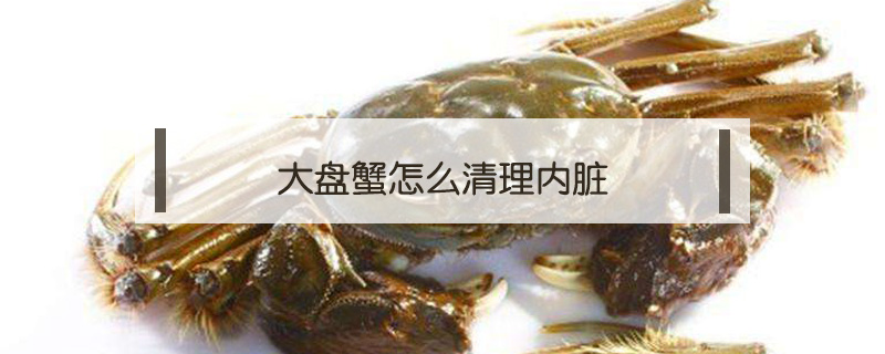 大盤蟹怎么清理內臟