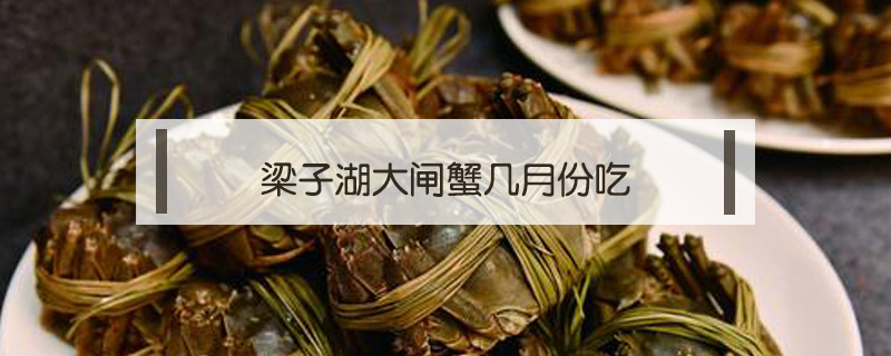 梁子湖大閘蟹幾月份吃