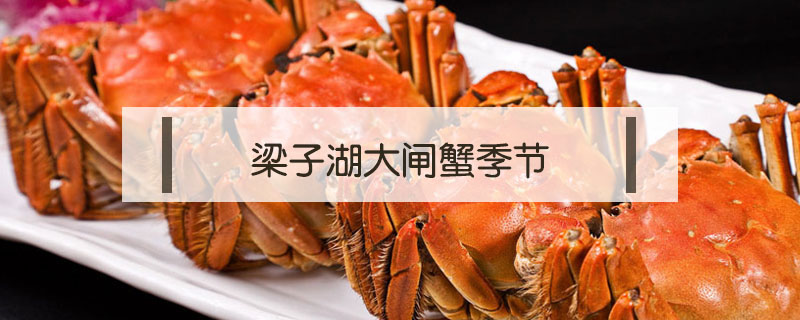 梁子湖大閘蟹季節