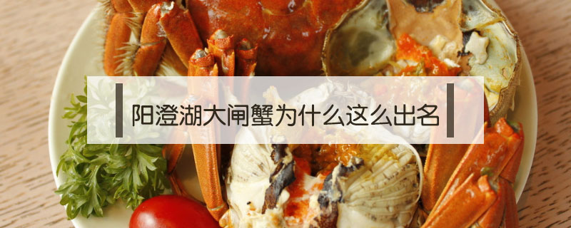 陽澄湖大閘蟹為什么這么出名