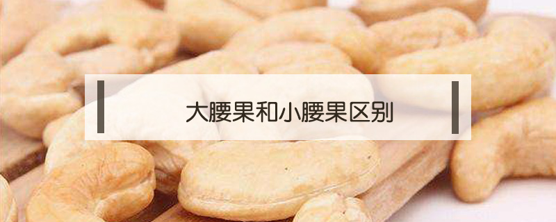 大腰果和小腰果區別
