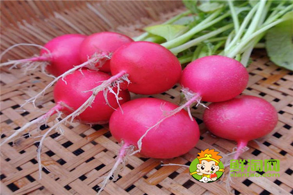 小蘿卜可以生吃嗎,白蘿卜生吃什么味道