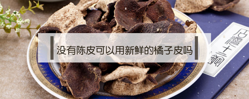 沒有陳皮可以用新鮮的橘子皮嗎